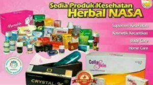 Bisnis Nasa